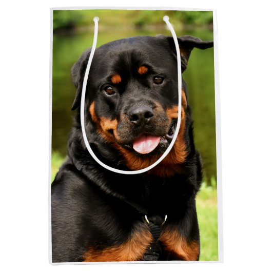 Rottweiler Happy Medium Gift Bag Medium Cadeauzakje (Voorkant)
