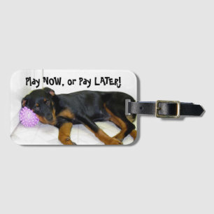 Rottweiler Heidi Play Now, betaal later Bagagelabe Bagagelabel
