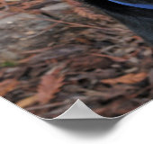 Rottweiler Heidi-Poster Poster (Hoek)