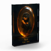 Rottweiler-herdenkingsfotoblock Fotoblokken (Links)