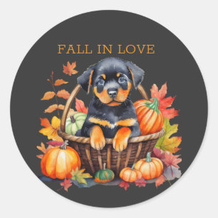 Rottweiler Herfst verliefd Ronde Sticker