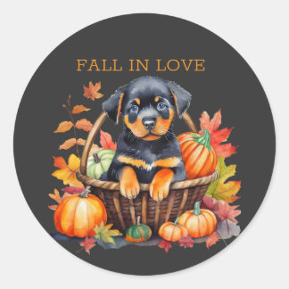 Rottweiler Herfst verliefd Ronde Sticker