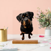 Rottweiler hond acryl bord (Huwelijk)