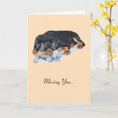 rottweiler-hond die teddy vermist kaart (Gele Bloem)