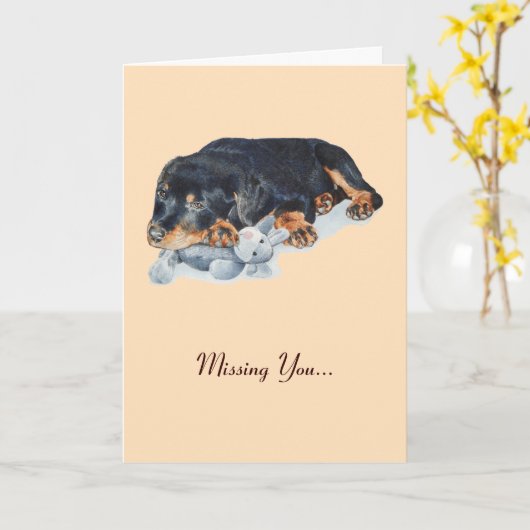 rottweiler-hond die teddy vermist kaart (Gele Bloem)