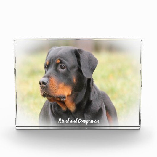 Rottweiler hond fotoblokken (Voorkant)
