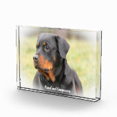 Rottweiler hond fotoblokken (Rechts)