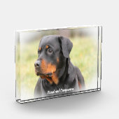 Rottweiler hond fotoblokken (Links)