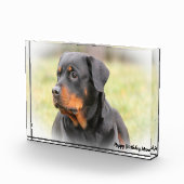 Rottweiler Hond Fotoblokken (Rechts)