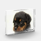 Rottweiler Hond Fotoblokken (Links)