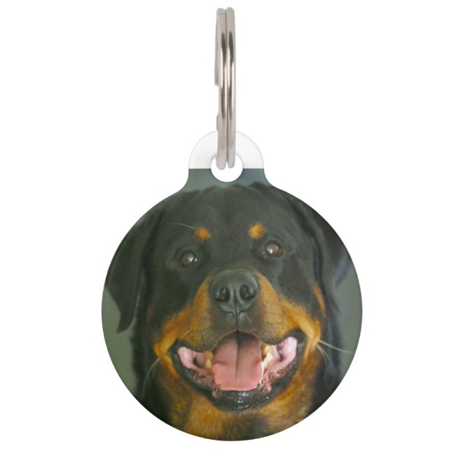 Rottweiler hond. huisdierpenning (Voorkant)