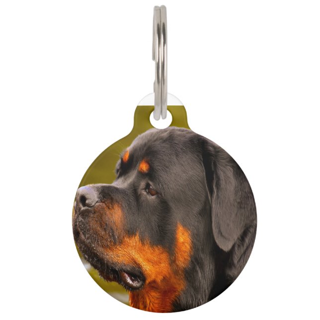 Rottweiler-hond Huisdierpenning (Voorkant)