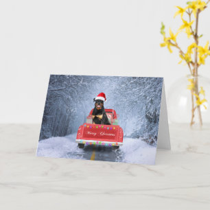 Rottweiler-hond in de sneeuw zittend in een kerstt kaart