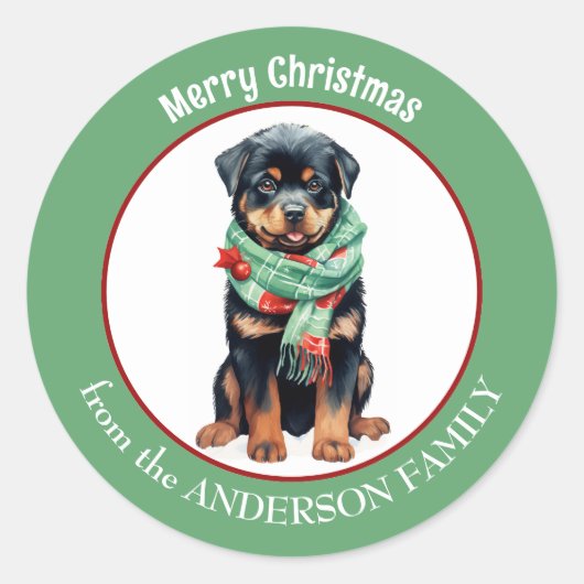 Rottweiler Hond in Rode en Groene Kerstsjaal Ronde Sticker (Voorkant)