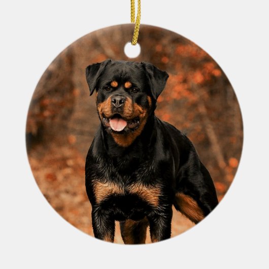 Rottweiler hond keramisch ornament (Voorkant)