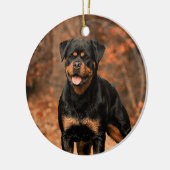 Rottweiler hond keramisch ornament (Links)