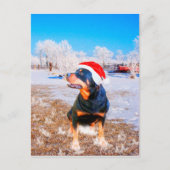 Rottweiler Hond Kerstmis Schilderij Feestdagenkaart (Voorkant)