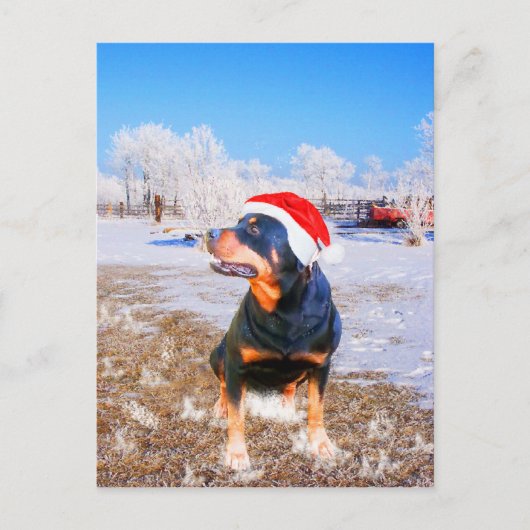 Rottweiler Hond Kerstmis Schilderij Feestdagenkaart (Voorkant)