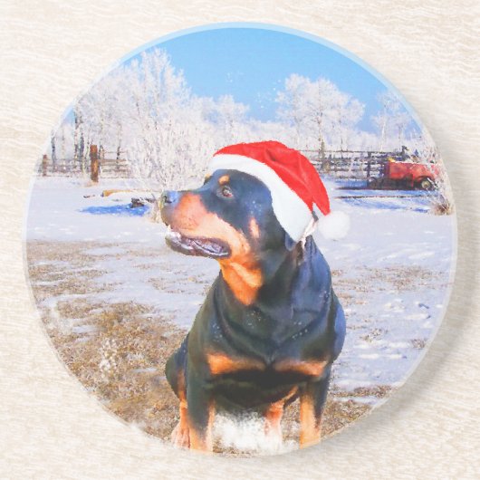 Rottweiler Hond Kerstmis Schilderij Zandsteen Onderzetter (Voorkant)