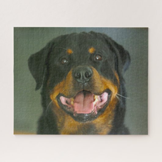 Rottweiler Hond Puzzels. Legpuzzel (Horizontaal)