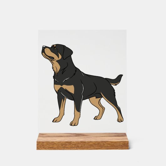 Rottweiler-hond, Rottweiler-hond staand Acryl Bord (Voorkant)