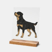 Rottweiler-hond, Rottweiler-hond staand Acryl Bord (Hoek)