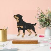 Rottweiler-hond, Rottweiler-hond staand Acryl Bord (Huwelijk)