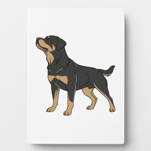 Rottweiler hond, Rottweiler hond staand Fotoplaat (voorkant)