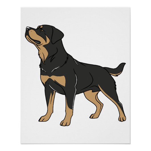 Rottweiler hond, Rottweiler hond staand Perfect Poster (Voorkant)
