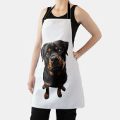 Rottweiler hond schort (Insitu)
