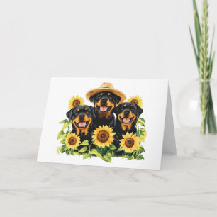 Rottweiler honden omringd door zonnebloemen kaart
