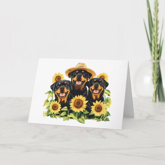 Rottweiler honden omringd door zonnebloemen kaart (Voorkant)