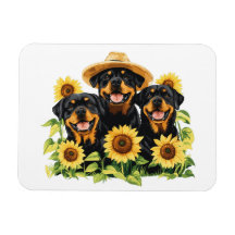 Rottweiler honden omringd door zonnebloemen