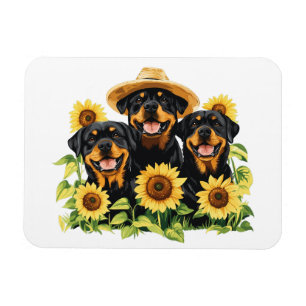 Rottweiler honden omringd door zonnebloemen magneet