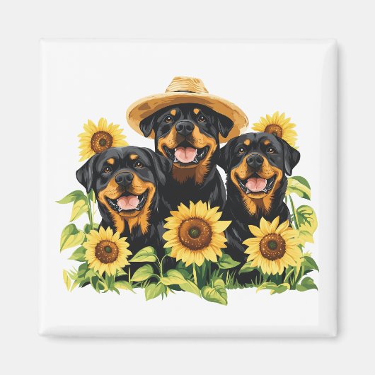 Rottweiler honden omringd door zonnebloemen magneet (Voorkant)