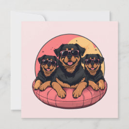 Rottweiler Honden Zomer Zwembad Floaties