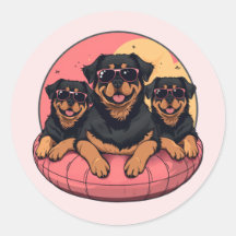 Rottweiler Honden Zomer Zwembad Floaties