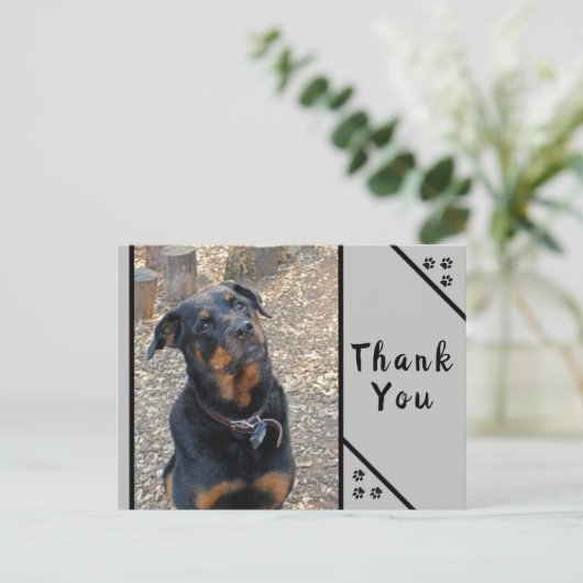 Rottweiler Hoofd kanteloosheid Dank u Briefkaart (Staand voorkant)