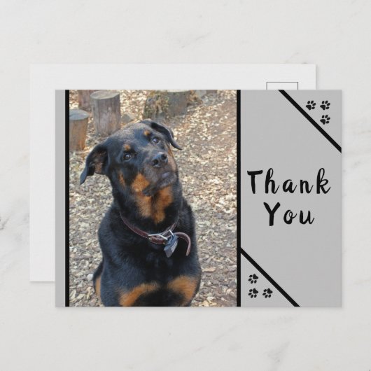 Rottweiler Hoofd kanteloosheid Dank u Briefkaart (Voorkant / Achterkant)