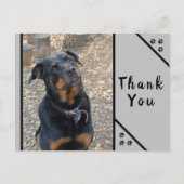 Rottweiler Hoofd kanteloosheid Dank u Briefkaart (Voorkant)