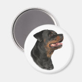 Rottweiler hoofdmagneet magneet (Voorkant / Achterkant)