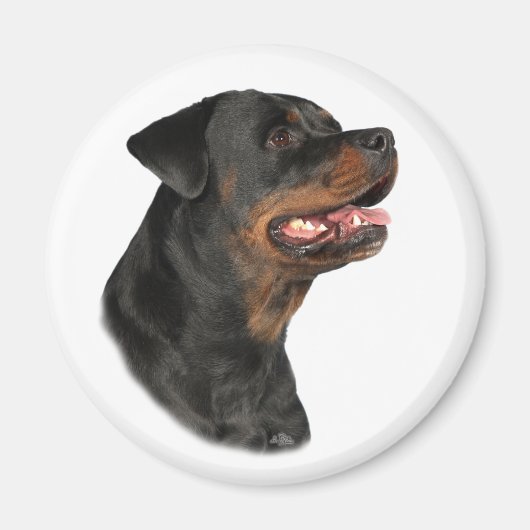 Rottweiler hoofdmagneet magneet (Voorkant)