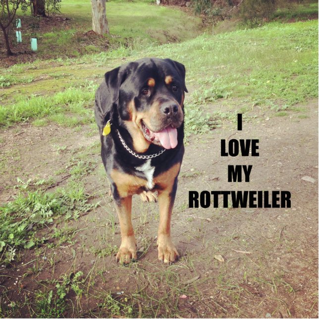 rottweiler houdt van pic tan fotobeeldje sleutelhanger (Voorkant)