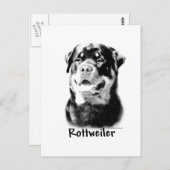 Rottweiler houtskool briefkaart (Voorkant / Achterkant)
