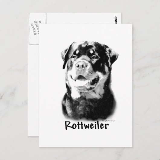 Rottweiler houtskool briefkaart (Voorkant / Achterkant)