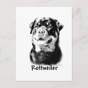 Rottweiler houtskool briefkaart