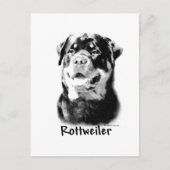 Rottweiler houtskool briefkaart (Voorkant)