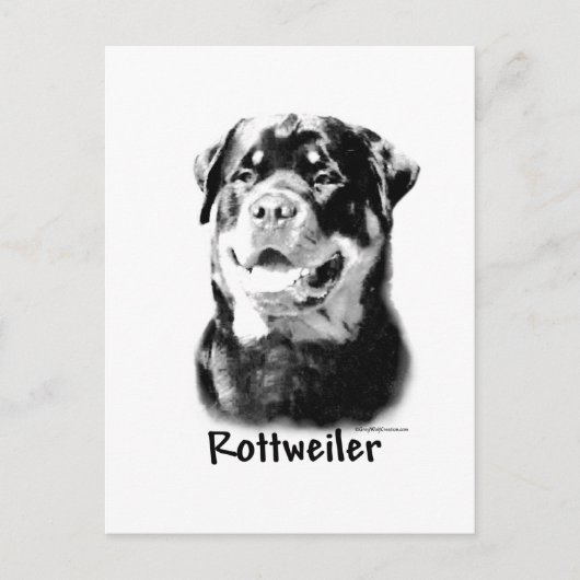 Rottweiler houtskool briefkaart (Voorkant)