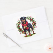 Rottweiler in een kerstkrans met klokken vierkante sticker (Envelop)