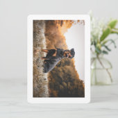 rottweiler in ijzig gras kaart (Staand voorkant)